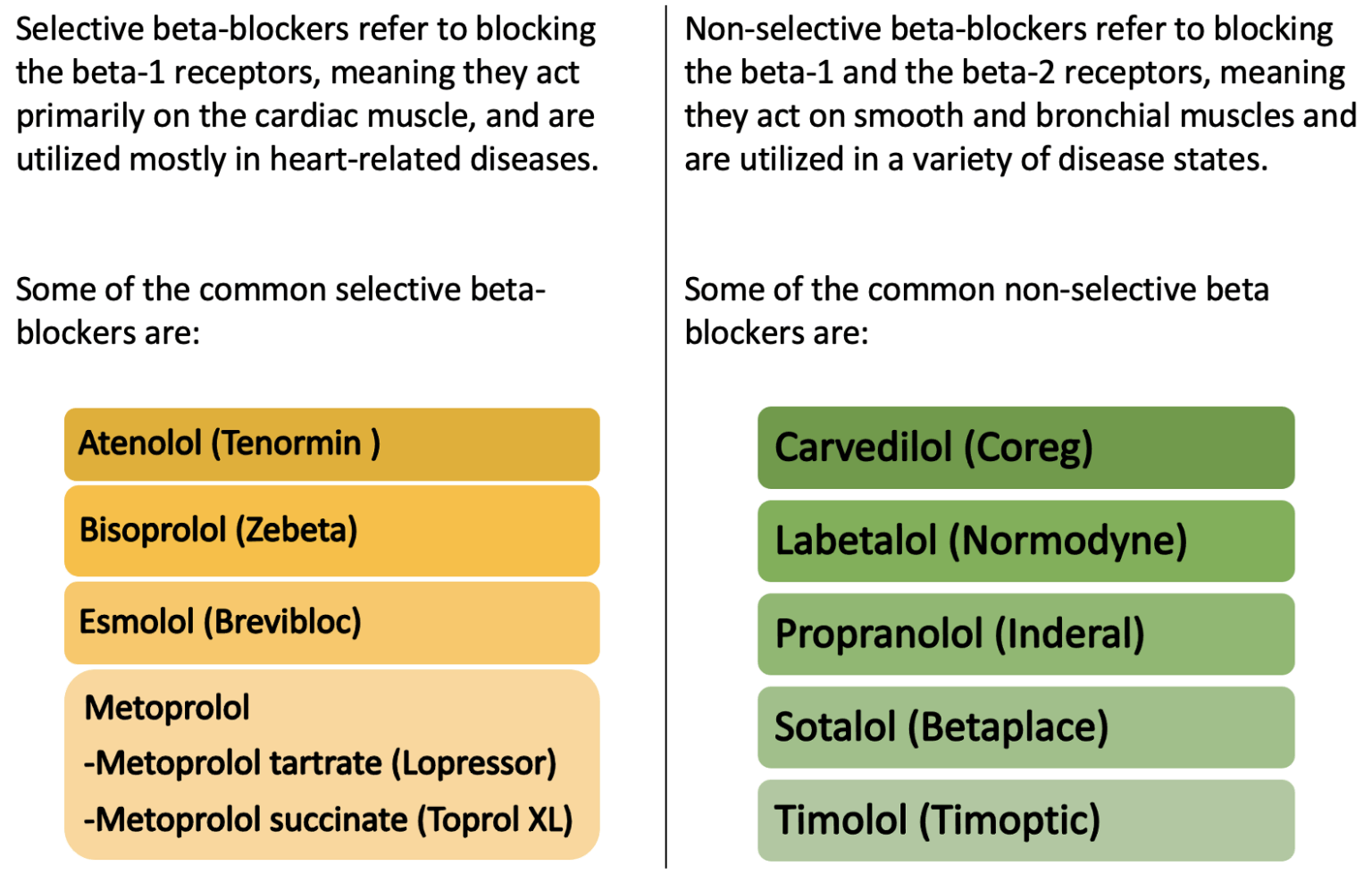 Common Beta Blockers: A Refresher - RxPharmacist